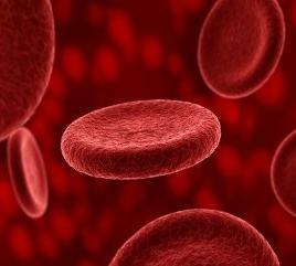 in the blood, red blood cells are lowered