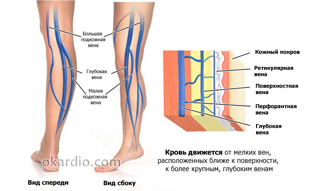 Медикаментозное Лечение Варикозной Болезни Вен Нижних Конечностей
